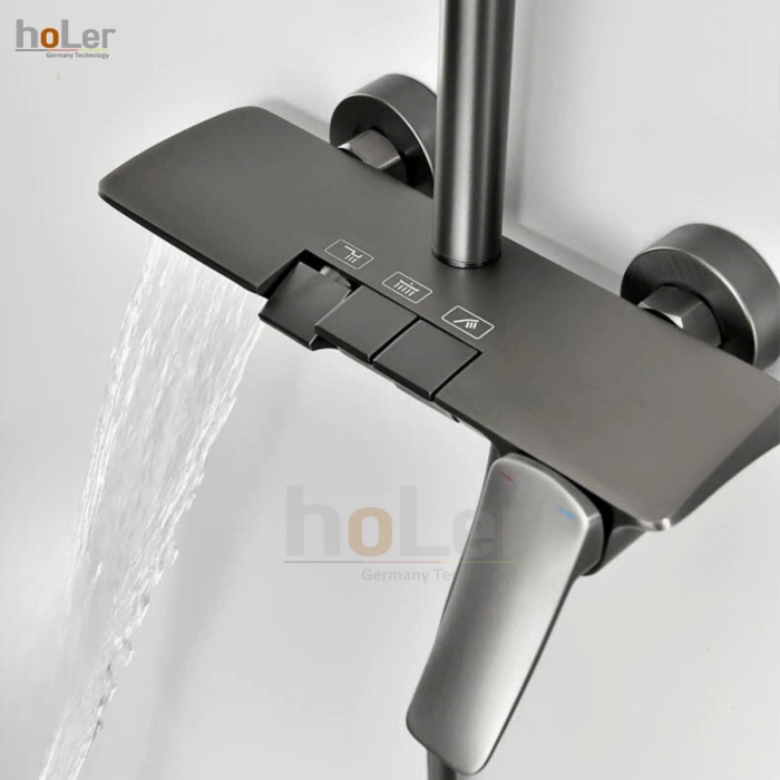 1rMUGZYemQxc-sen-cay-dong-thau-son-tinh-dien-xam-holer-hl2123-0317247453600thumb__700x700