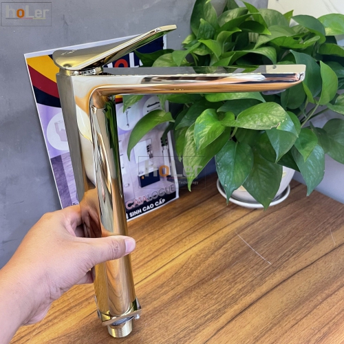 D4QM1pB4nnJP-voi-lavabo-nong-lanh-dong-ma-vang-cao-30cm-holer-hllb642-4716644527394thumb__500x500
