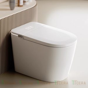 Bồn Cầu Điện Tử Schmidt BCTM06