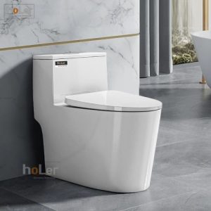 Bồn Cầu 1 Khối Schmidt HLBC240