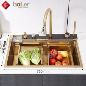 Combo Chậu Và Vòi Rửa Chén Mạ Vàng 5 Phím Hiển Thị Nhiệt Độ Schmidt HLCRNN729-7546