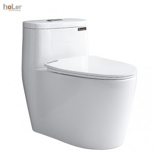 Bồn Cầu 1 Khối Schmidt HLBC213