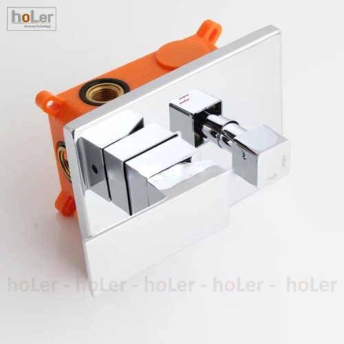 XdwxstJ5arfR-sen-tam-am-tuong-holer-hla200-4816656547404thumb__500x500