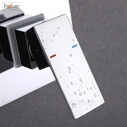 YGSYAAxhZuLa-sen-tam-am-tuong-holer-hla200-4816656547406thumb__500x500
