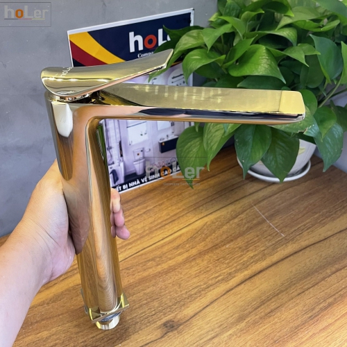 kPgbjgoBUsWA-voi-lavabo-nong-lanh-dong-ma-vang-cao-30cm-holer-hllb642-4716644527370thumb__500x500