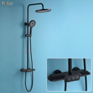 Sen Cây Tắm Đứng Chỉnh Nhiệt Đồng Thau Sơn Tĩnh Điện Đen Schmidt HL242