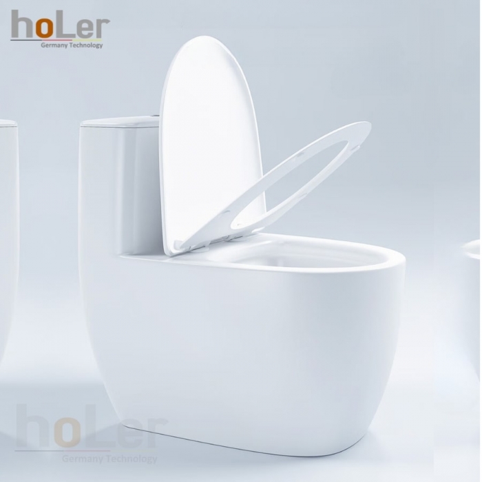 loFLs1qdya6t-bon-cau-trung-1-khoi-holer-hlbc243-5817473816492thumb__700x700