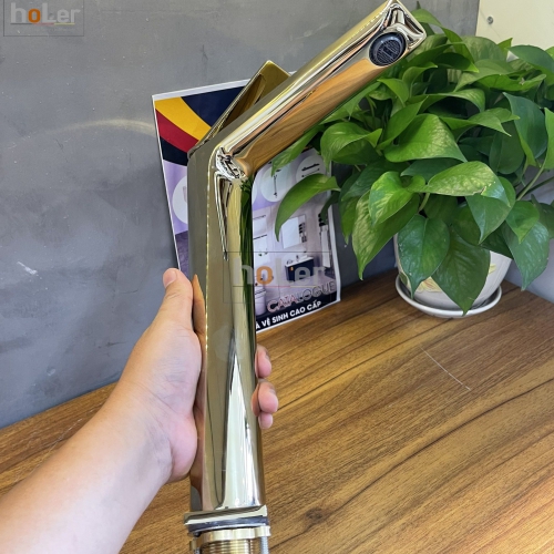 t0XBNAFwespx-voi-lavabo-nong-lanh-dong-ma-vang-cao-30cm-holer-hllb642-4716644527406thumb__500x500